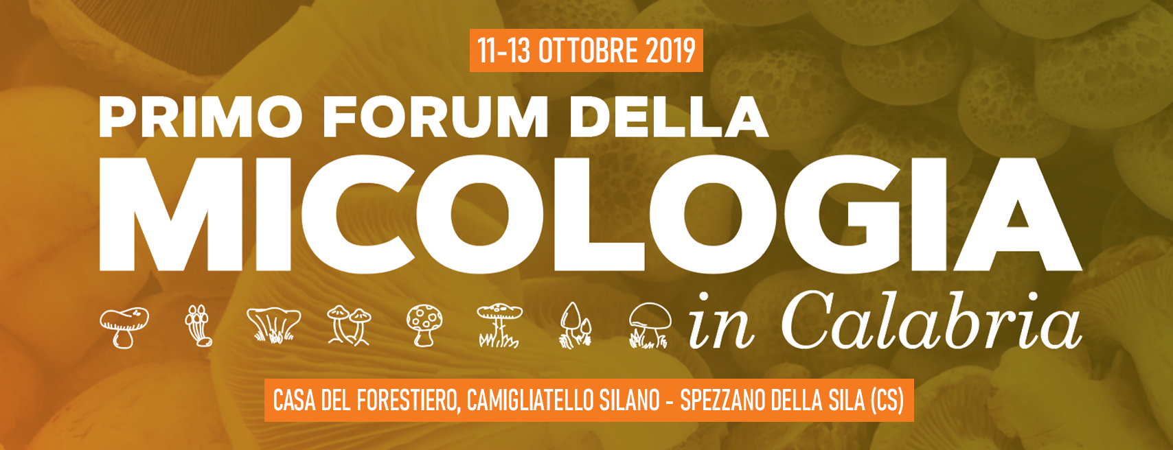 Forum della Micologia in Calabria